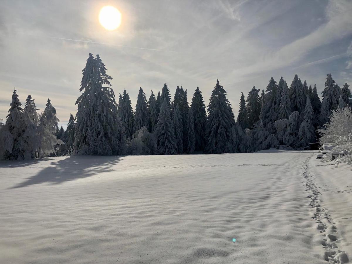 Vila Bergstern Freudenstadt Exteriér fotografie