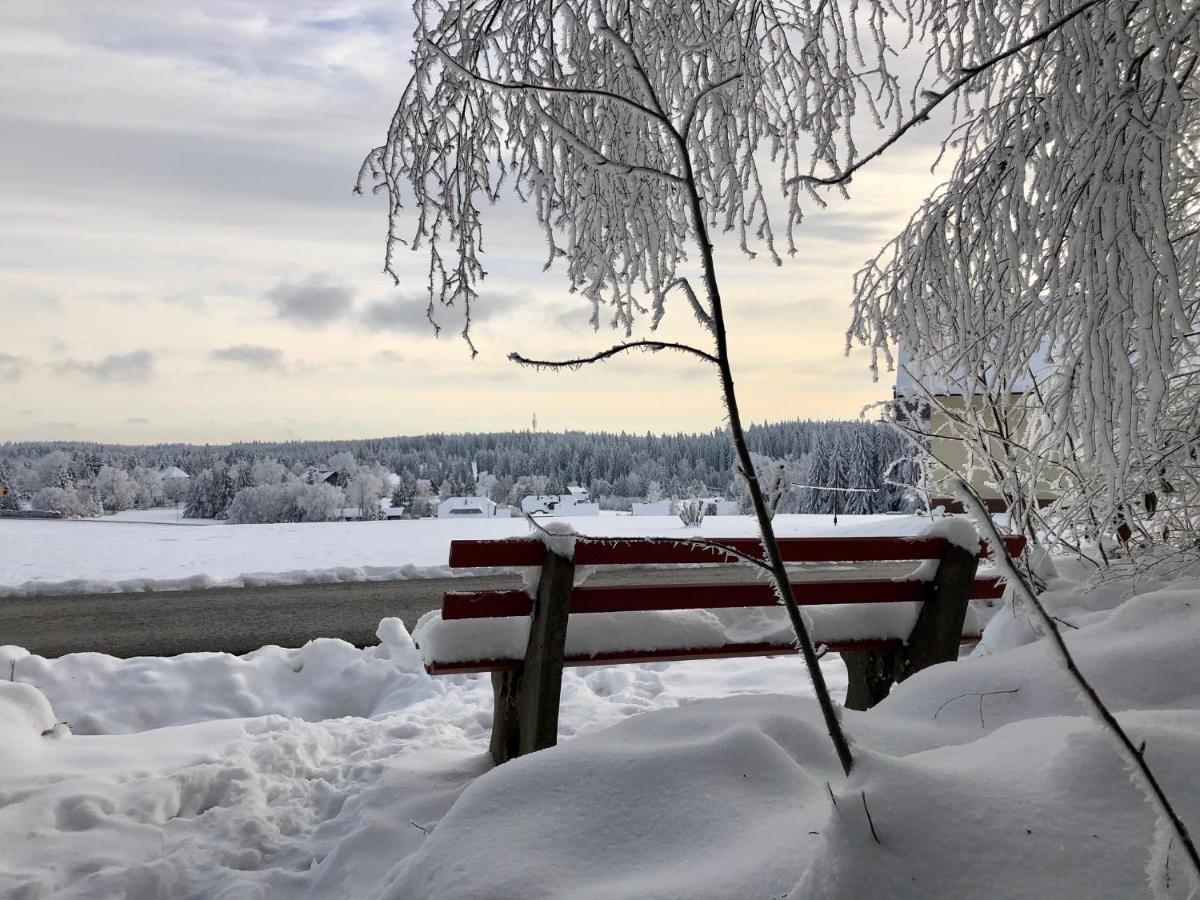 Vila Bergstern Freudenstadt Exteriér fotografie